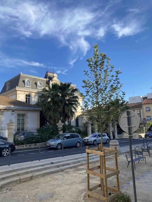 Emile Zola - Grand Appartement Proche Gare Et Polygone - Parking Gratuit- Béziers Eksteriør billede